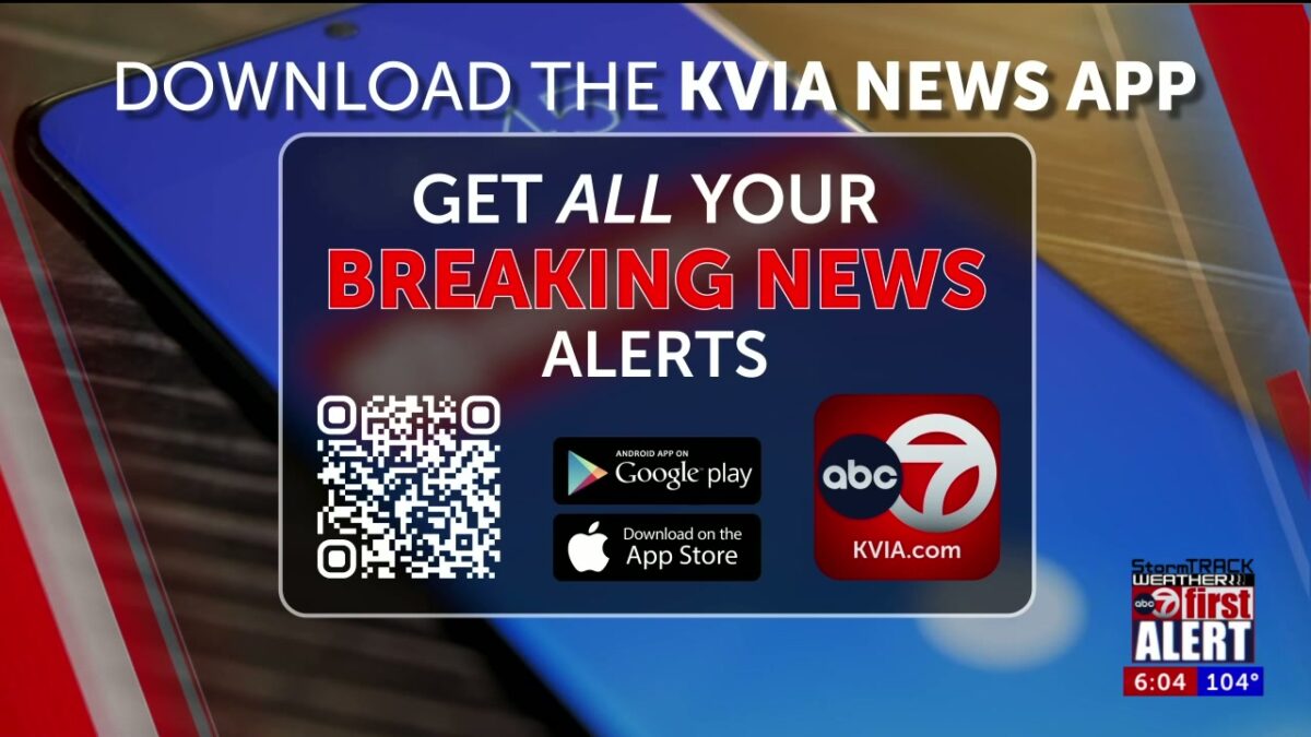 Nearly 600 pets taken into shelter by El Paso Animal Services as 4th of July nears
