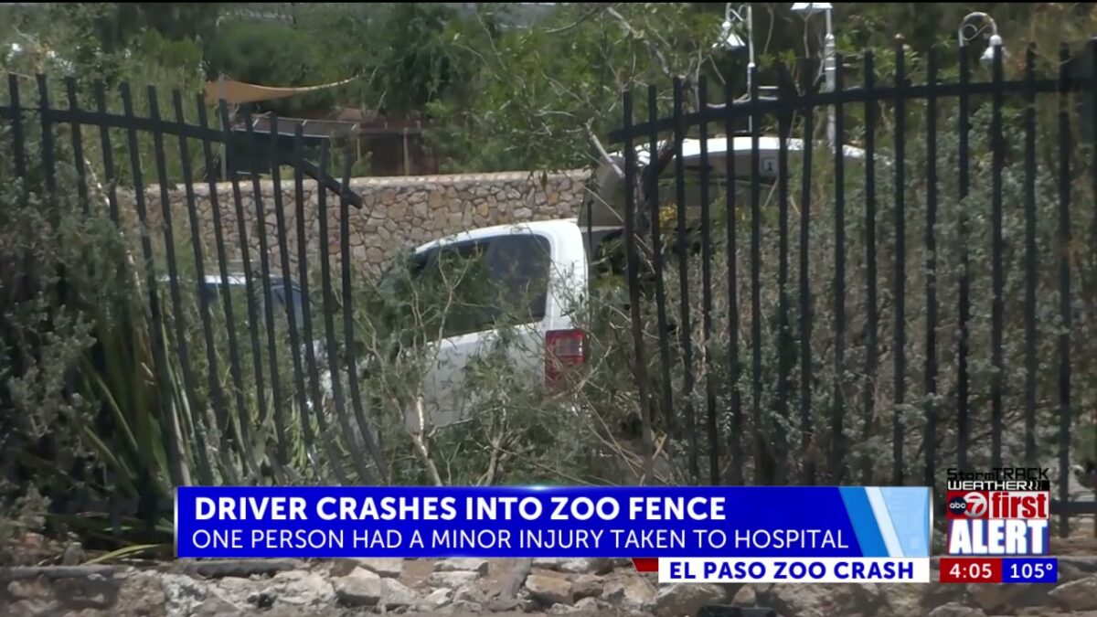 Person in hospital after driver crashes into El Paso Zoo fence