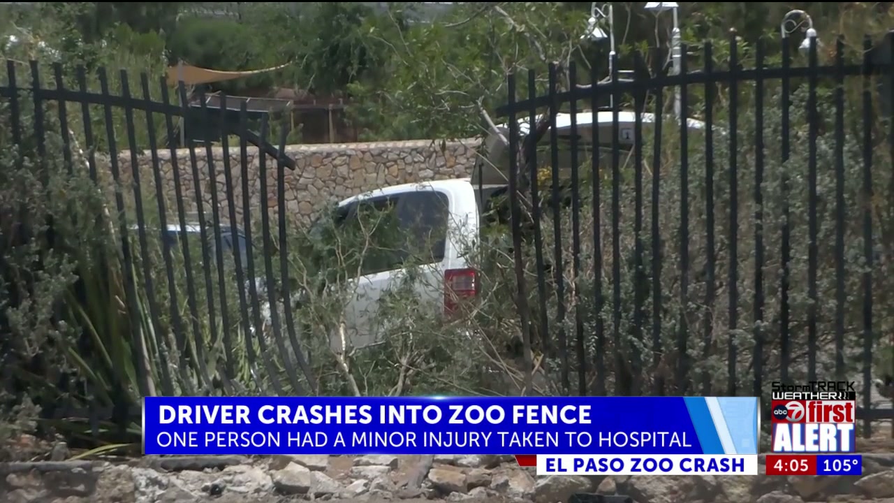 Person in hospital after driver crashes into El Paso Zoo fence