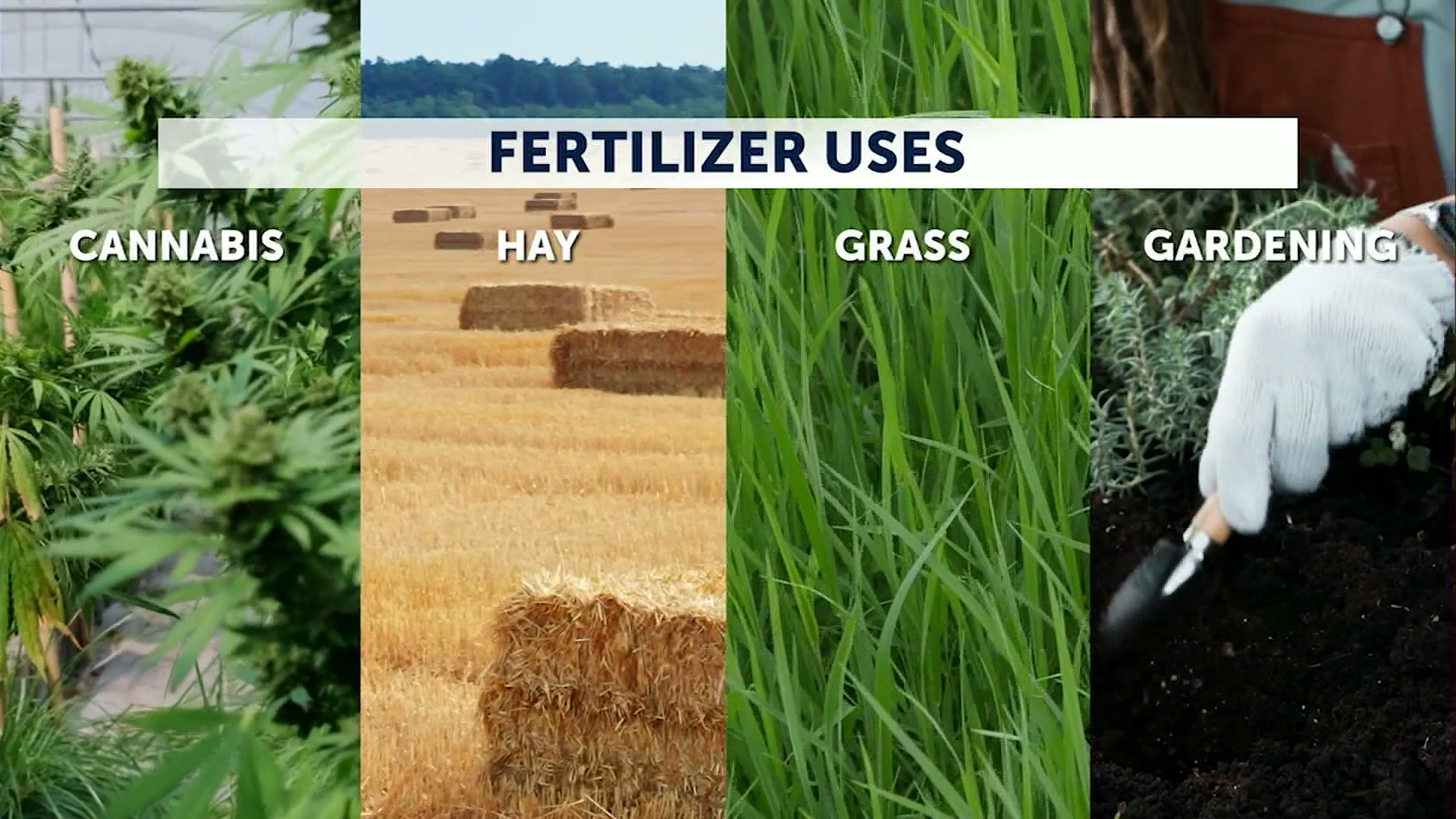 Oregon farmers feel the pinch as fertilizer prices soar amid Iran conflict