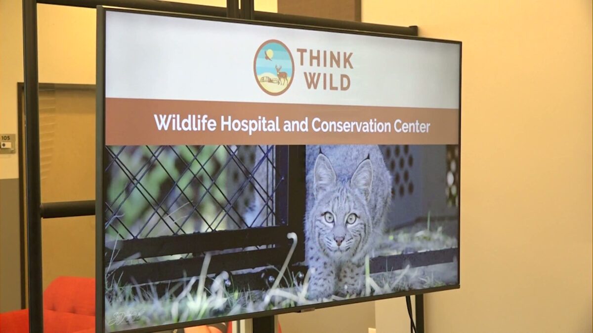 Think Wild hosts open orientation for new volunteers