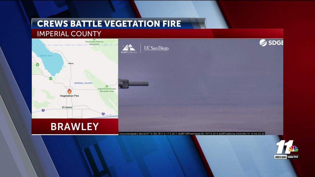 Firefighters in Imperial County battle vegetation fire
