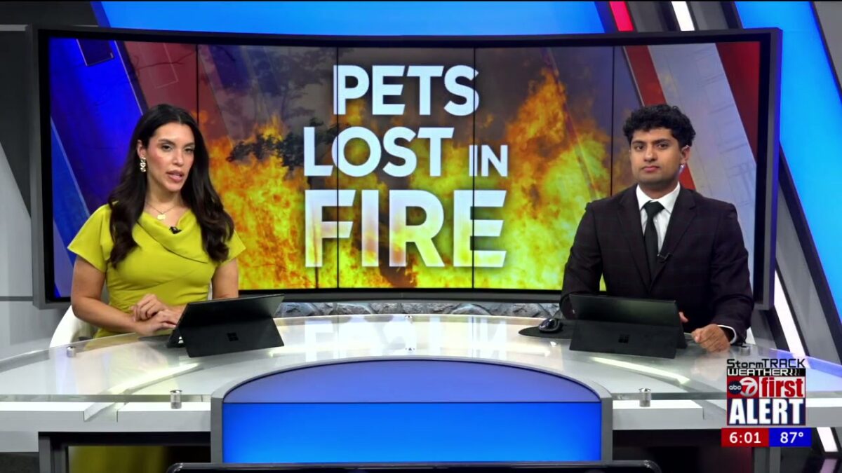 El Paso family loses 6 pets in house fire