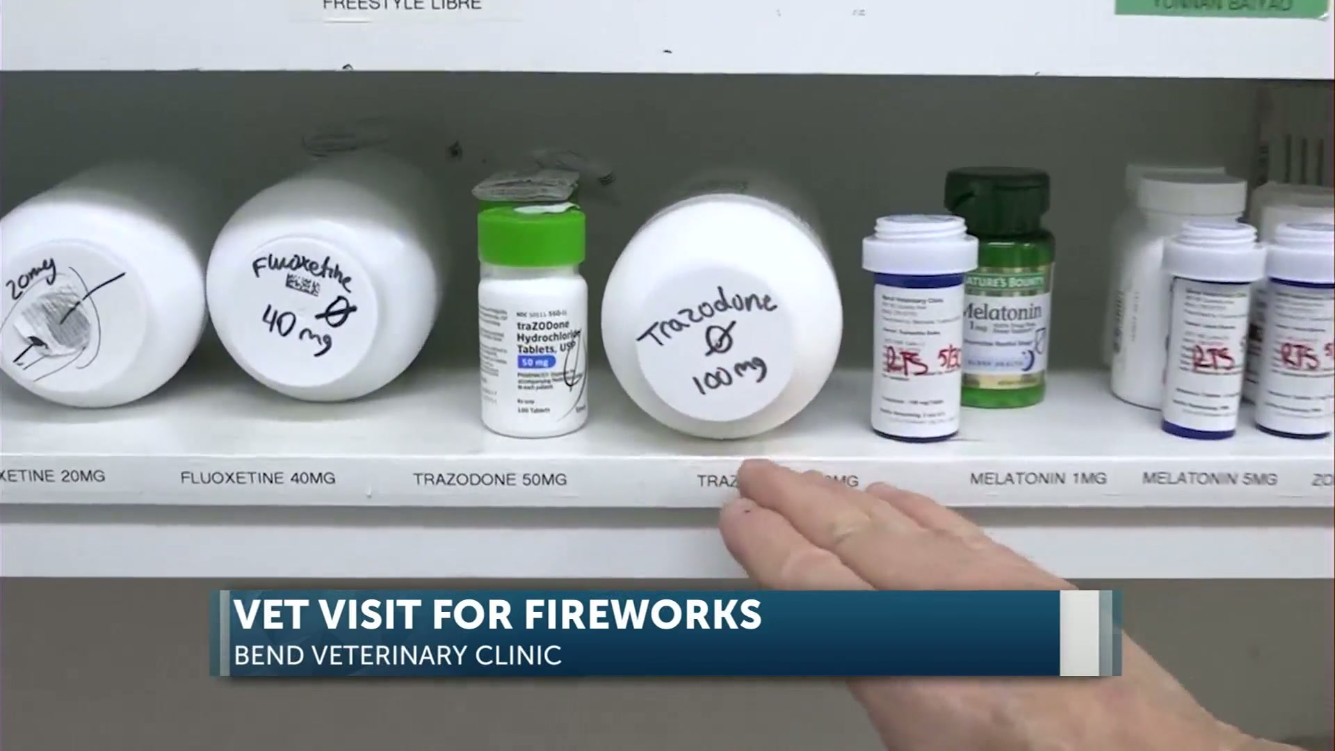 Make plans for Pet Anxiety before the 4th