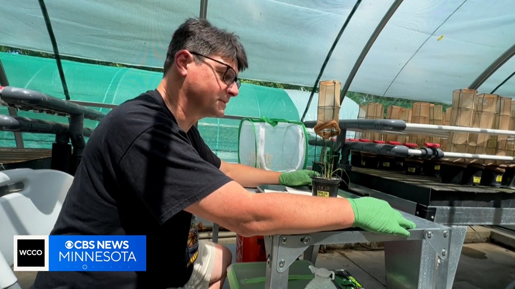 Erik Runquist is a conservation scientist at the Minnesota Zoo.