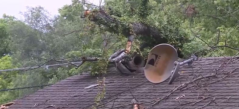 A West Price Hill mother says she and her three children have been displaced after a tree crashed onto their rental home during severe storms last Thursday.