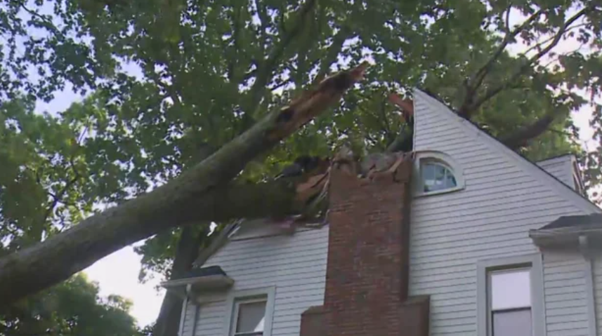 A tree fell about 1:30 a.m. June 12