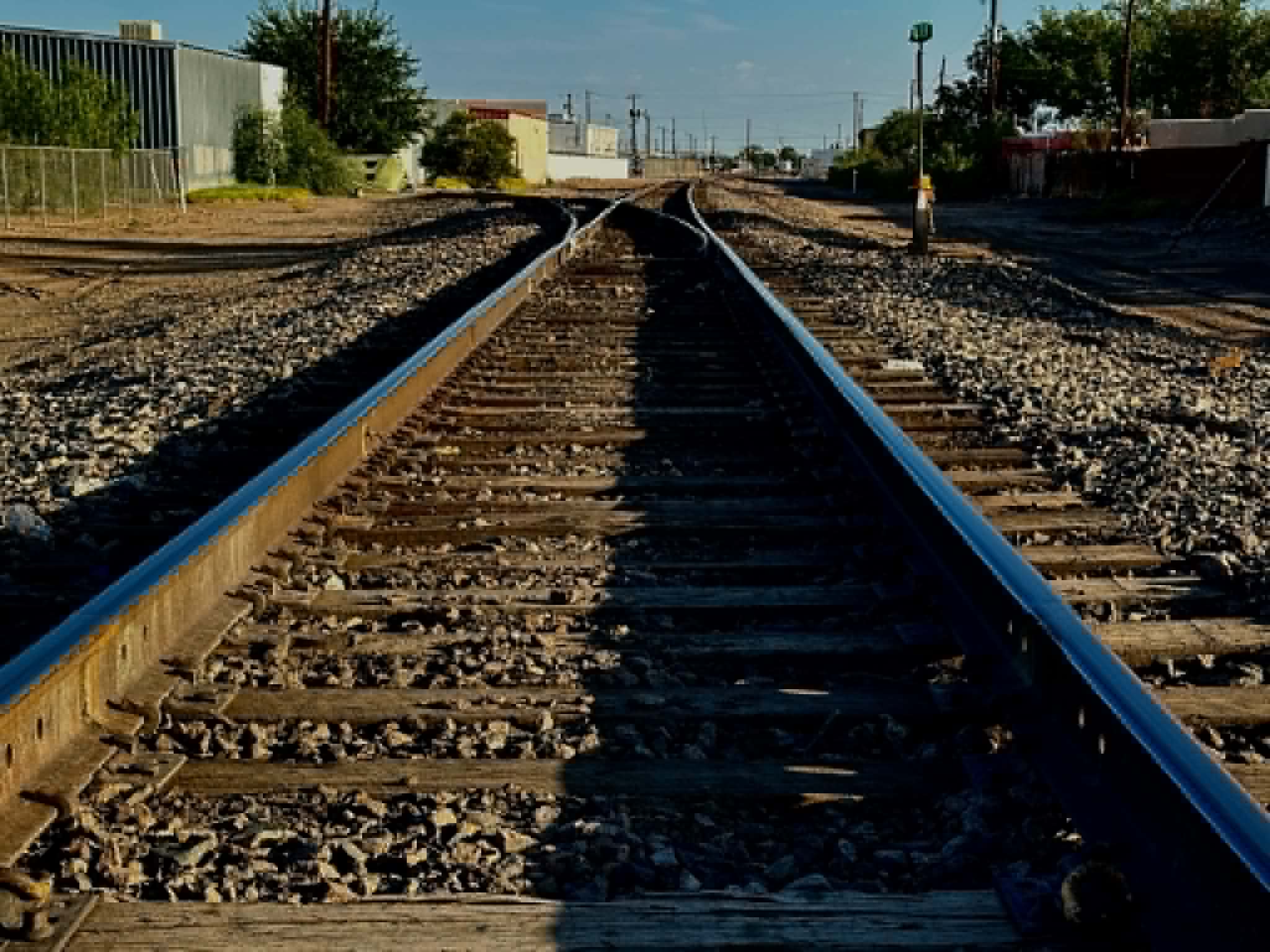 Train hits