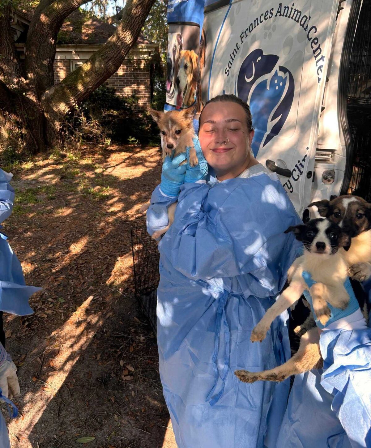 Over 100 dogs were rescued from a home in Georgetown