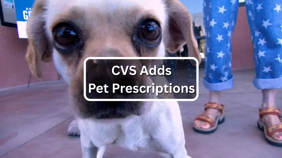 CVS expands access to select pet medications nationwide