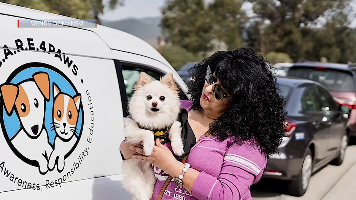 C.A.R.E.4Paws Expands Foster Program to Keep Pets & Families Together