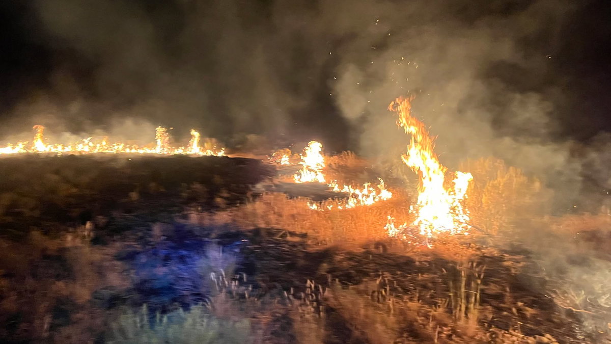 Firefighters Battle 700-Acre Gaston Fire Near Aberdeen