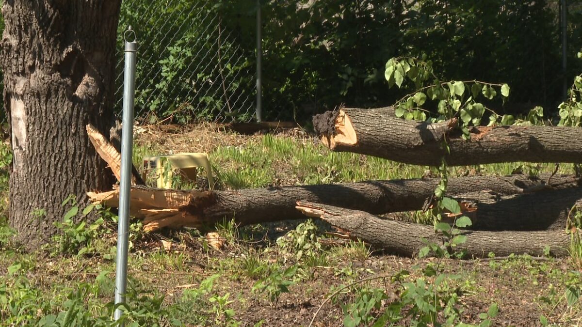 Goessel city leaders are asking residents to help document the damage as emergency officials work to determine whether the community qualifies for potential state disaster assistance.