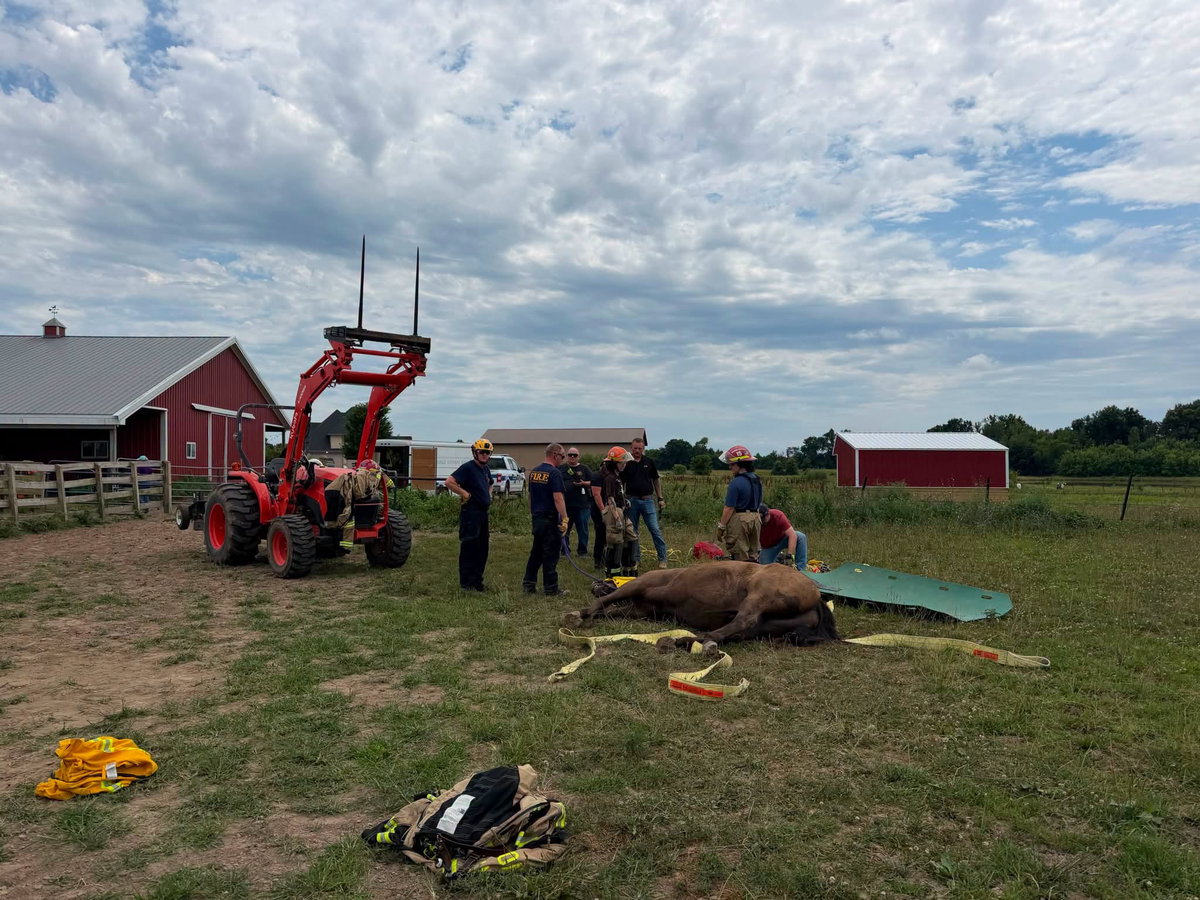 Boone County firefighters assist with distressed horse