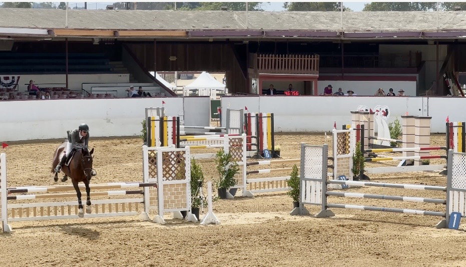 Hunter / Jumpers ride at Santa Barbara National