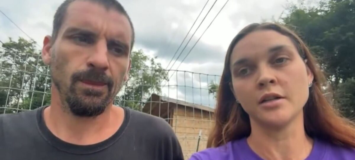 A McKeesport family says their 3-year-old pet emu was hunted and killed by their neighbors' pit bulls.