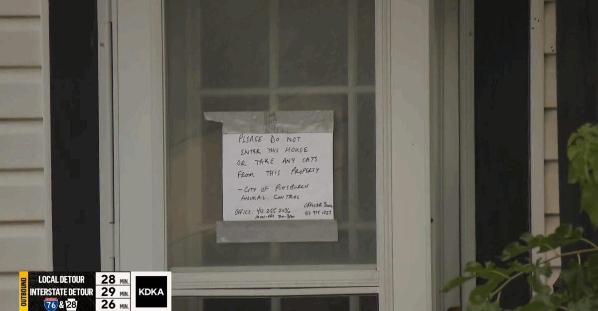 At least 60 cats have been living in bad conditions in and around the home on Franklin Road