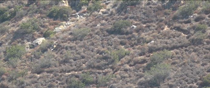 Video captured by a park employee shows a firefighter flight medic at the end of a helicopter rope