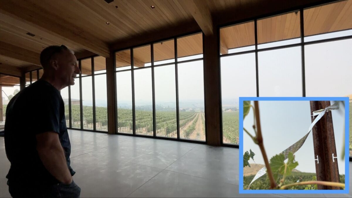 Gem 73 Winery