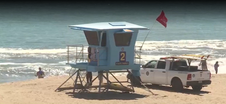 President Donald Trump acknowledged the lifeguard’s heroism