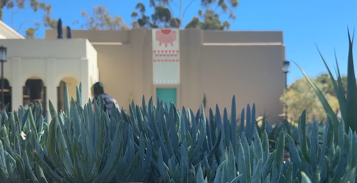 Santa Barbara Library Launches Student Success Cards