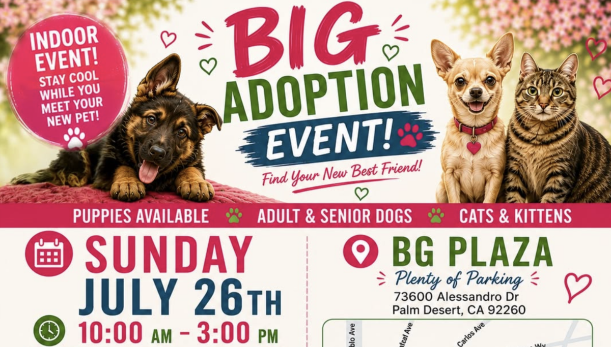 Community gathers for pet adoption event where families meet furry friends