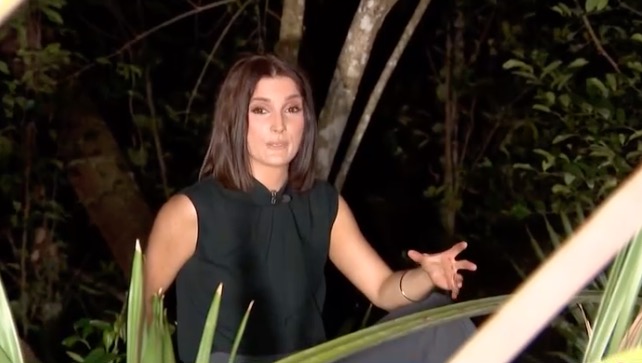 Mount Dora residents are being cautioned to stay away from monkeys after multiple sightings in the area