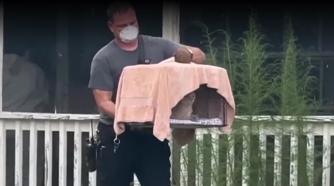 The Martin County Sheriff's Office rescued 92 animals