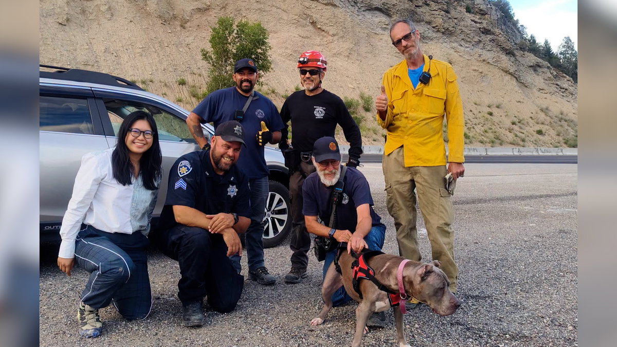First responders rescue trapped senior dog from steep Swan Valley hillside