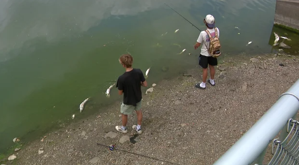 The DNR is urging people to avoid wading in areas where large numbers of fish have died.