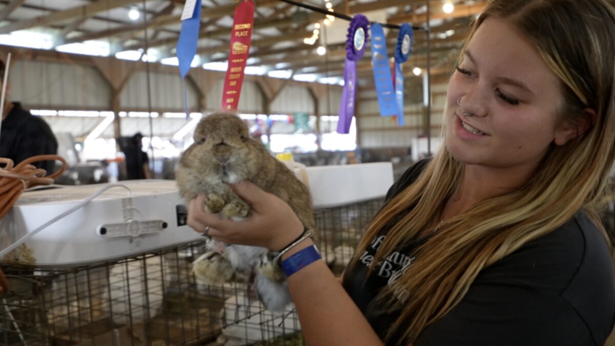 Harrington has been part of Butler County 4-H for eight years. For the past four