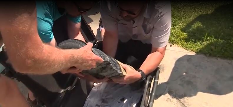 After spending nearly 250 years at the bottom of Lake Champlain
