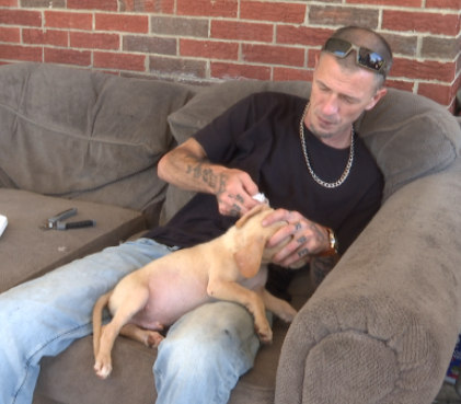 A Madison County couple working to rescue forgotten animals in rural areas.