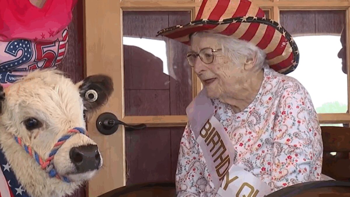 Brightview Avondell Senior Living residents visited Wellspring of Life Farm in Monkton.