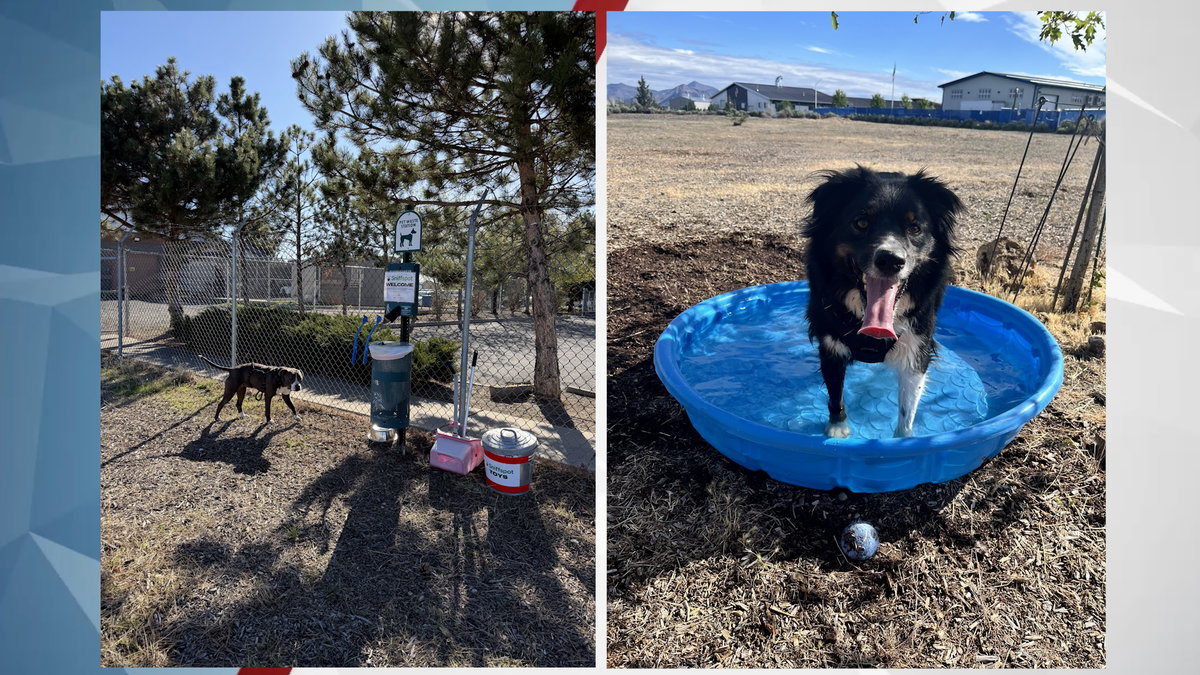 BrightSide Animal Center opens Redmond’s first private SniffSpot