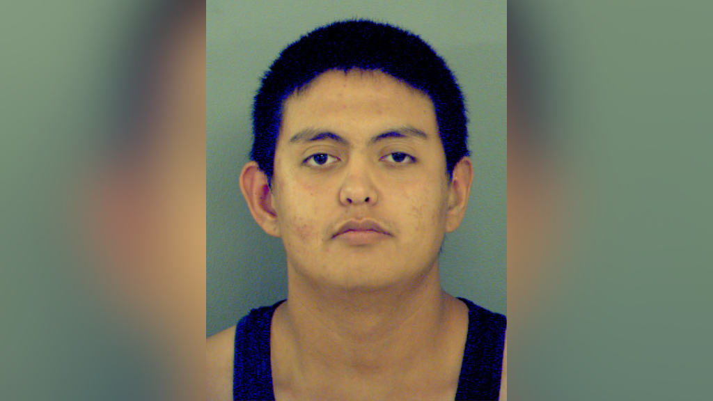 2 teens charged with evading arrest after brief pursuit