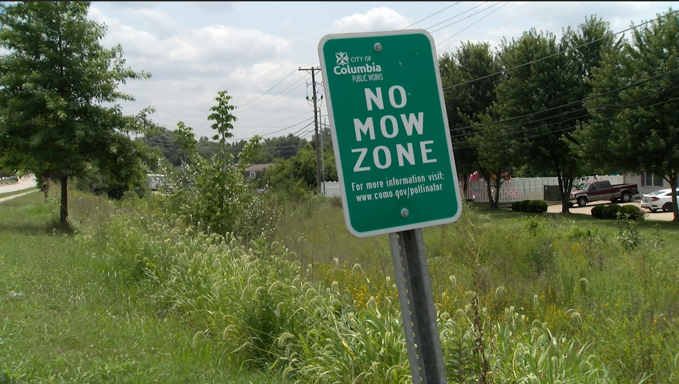 QUESTION OF THE DAY: Should the City of Columbia mow its ‘No Mow Zones’ more often?
