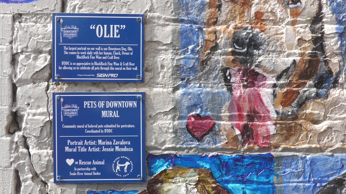 Downtown pet mural ribbon cutting in Idaho Falls