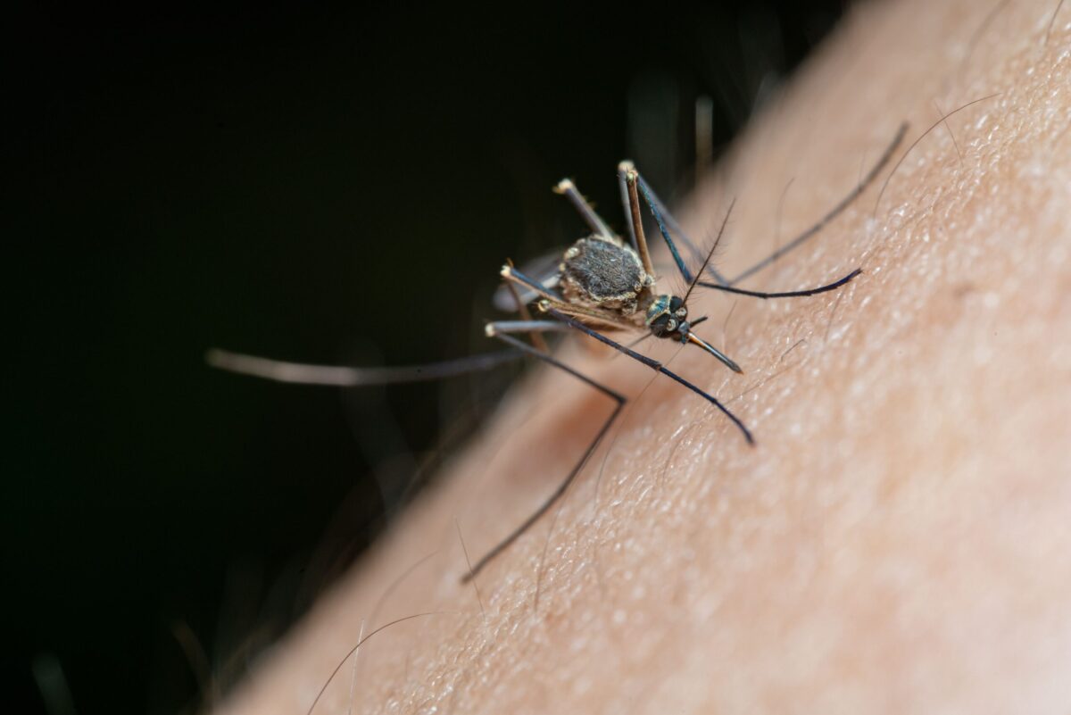 Otero County man tests positive for West Nile virus