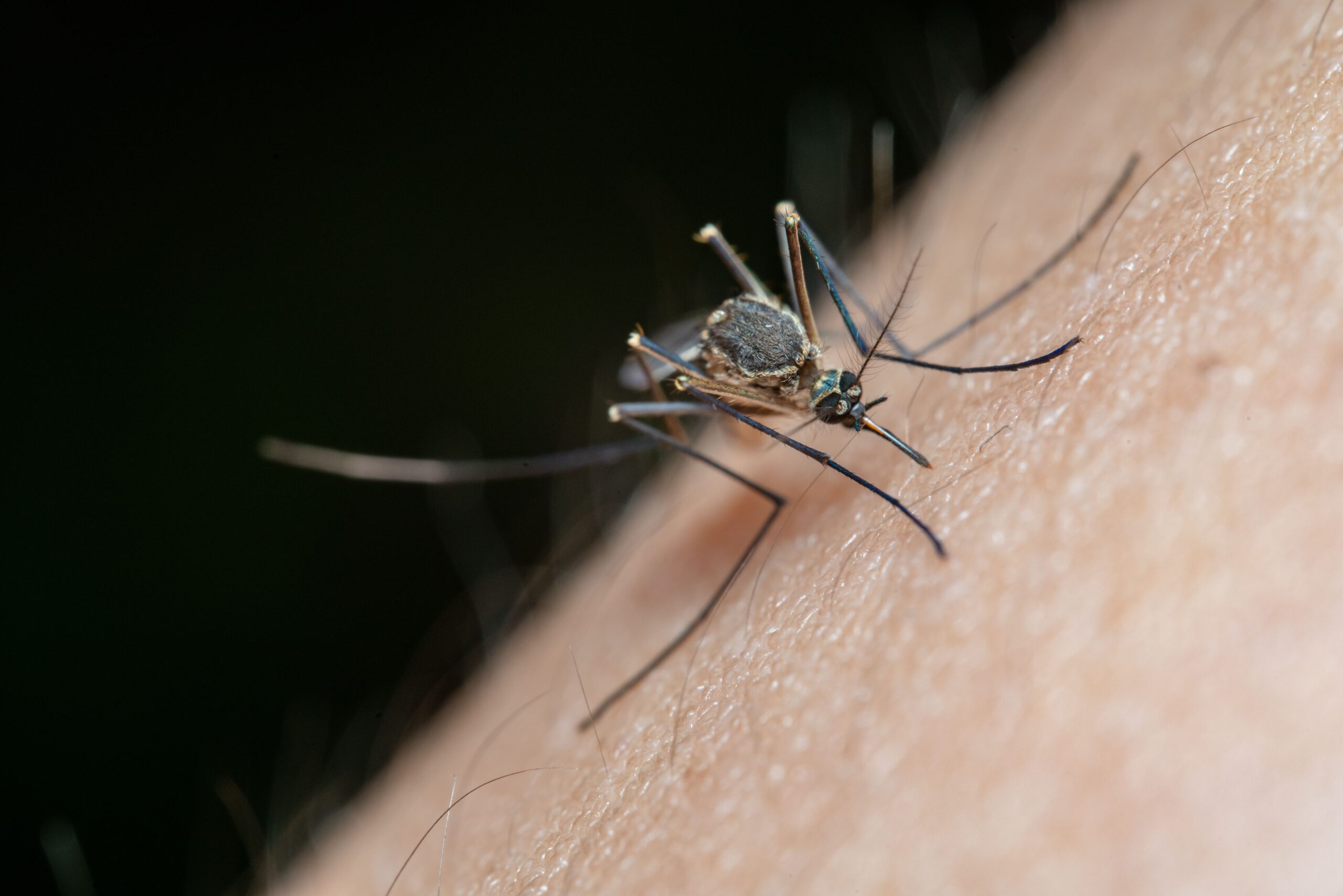 Otero County man tests positive for West Nile virus