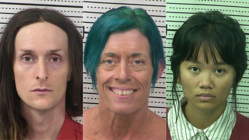 3 arrested at Doña Ana County Government Center during data center presentation