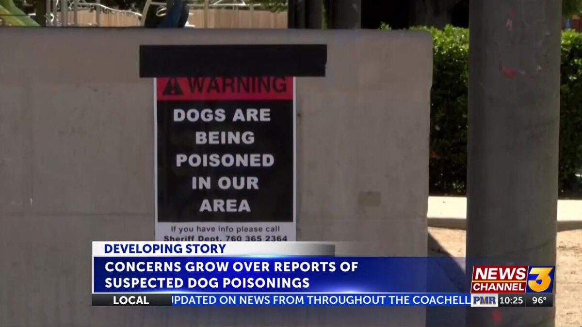 Reports of suspected dog poisonings in Yucca Valley raise concerns