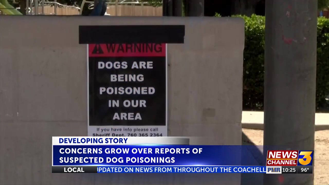 Reports of suspected dog poisonings in Yucca Valley raise concerns