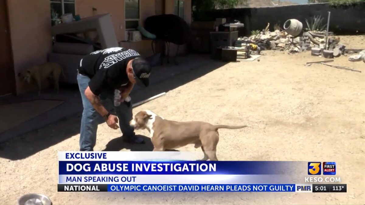 Cabazon man accused of beating dog in viral video speaks to News Channel 3; Two dogs removed from property