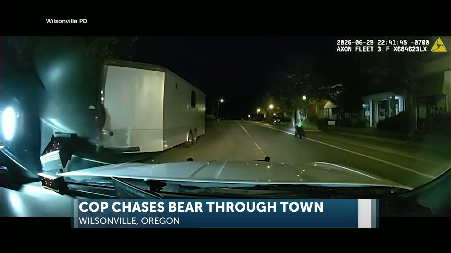 Wilsonville police safely guide bear out of residential area