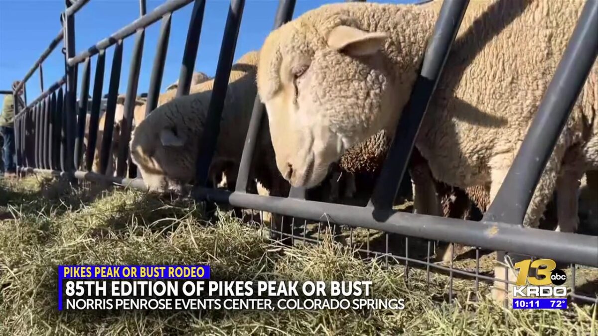 Pikes Peak or Bust Rodeo brings family fun opening night