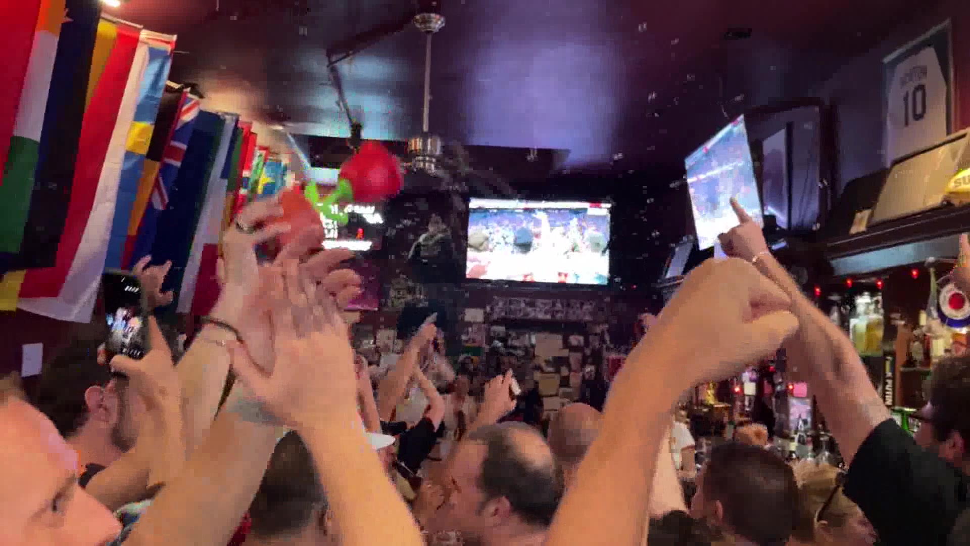 World Cup Fans Cheer on their Teams