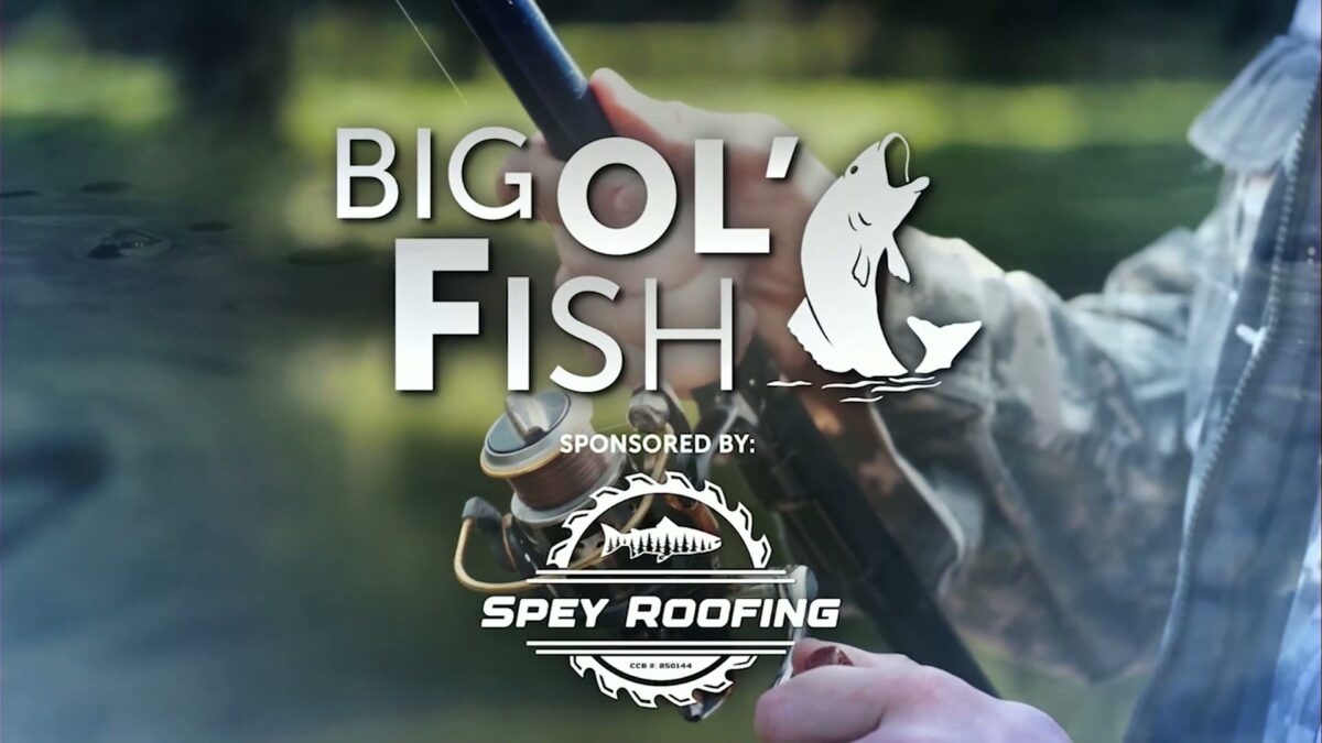 Big Ol’ Fish: Monsters caught from the water