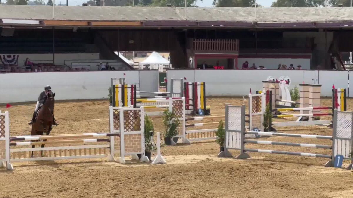Hunter / Jumpers ride at Santa Barbara National