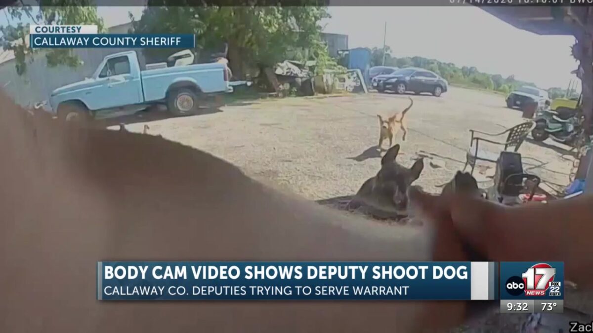 Callaway County deputy shoots dog while serving warrant